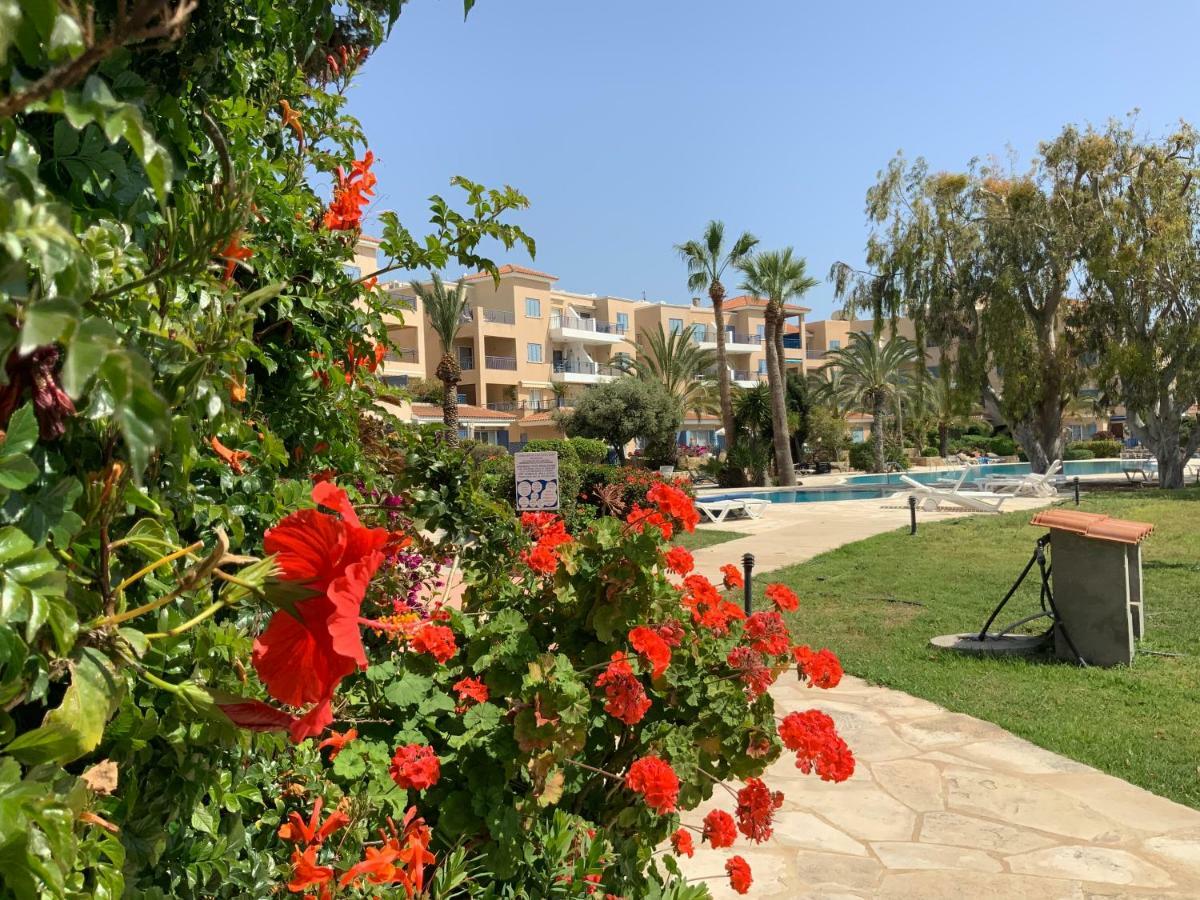 Kings Palace Indigo 109 Pafos Exterior foto